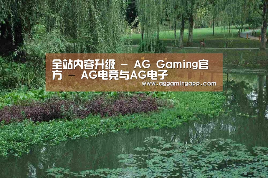 案例展示一(图1)