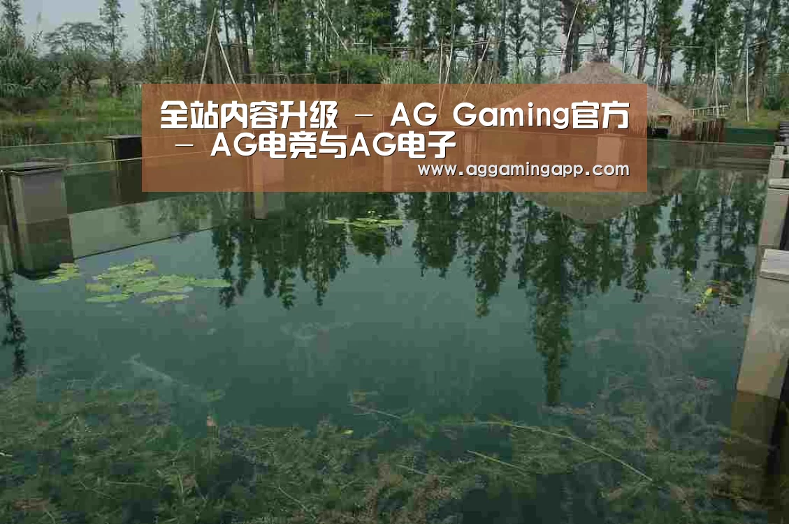 案例展示二(图1)