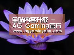 产品名称六