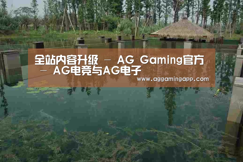 案例展示二