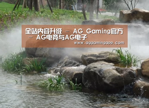 案例展示五