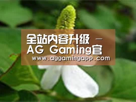 产品名称三