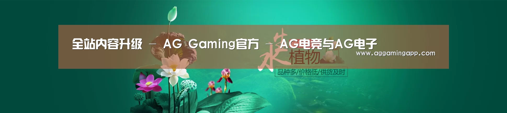 鲜花水草花卉网站模板